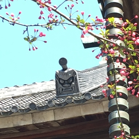 b0177323_22591763.jpg