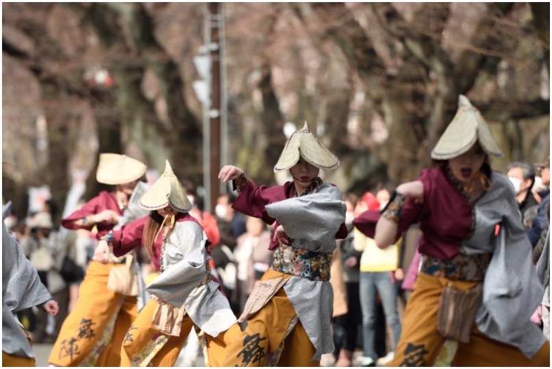 第44回相模原市民桜まつり　「舞陣～ぶじん～」さん　神奈川県相模原市_c0276323_22451648.jpg