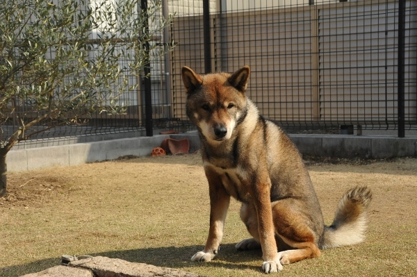 つまんなさすぎるのぉぉお！_f0143123_09410921.jpg