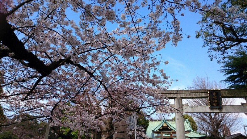 f0368824_17294540.jpg