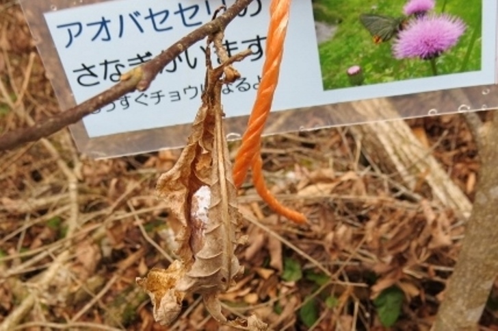 f0177529_20460647.jpg