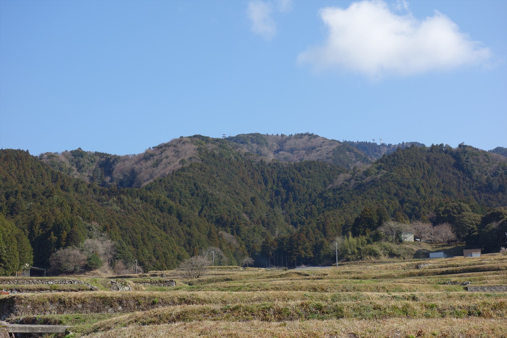 f0348933_21375631.jpg