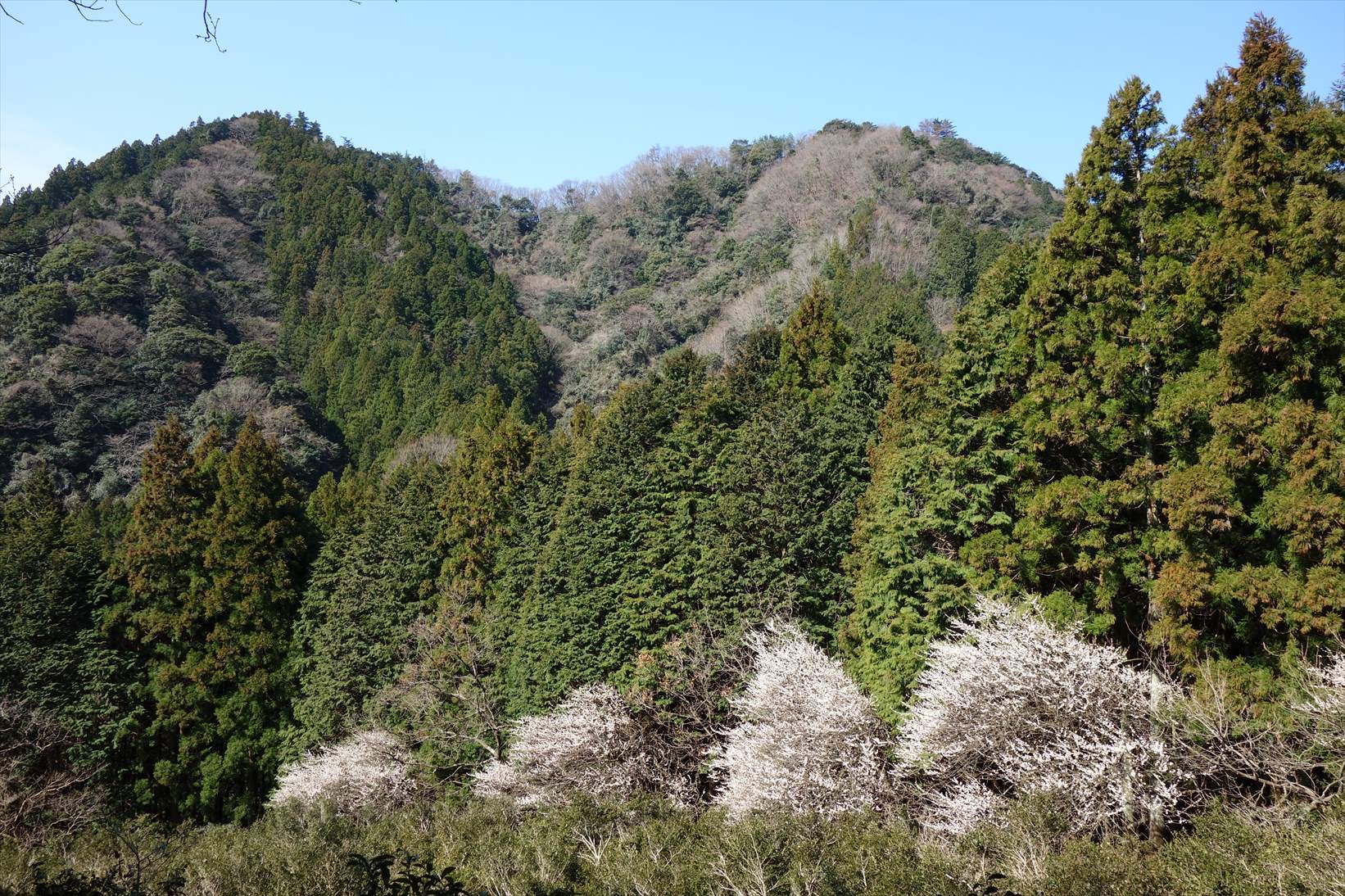 f0348933_21413710.jpg
