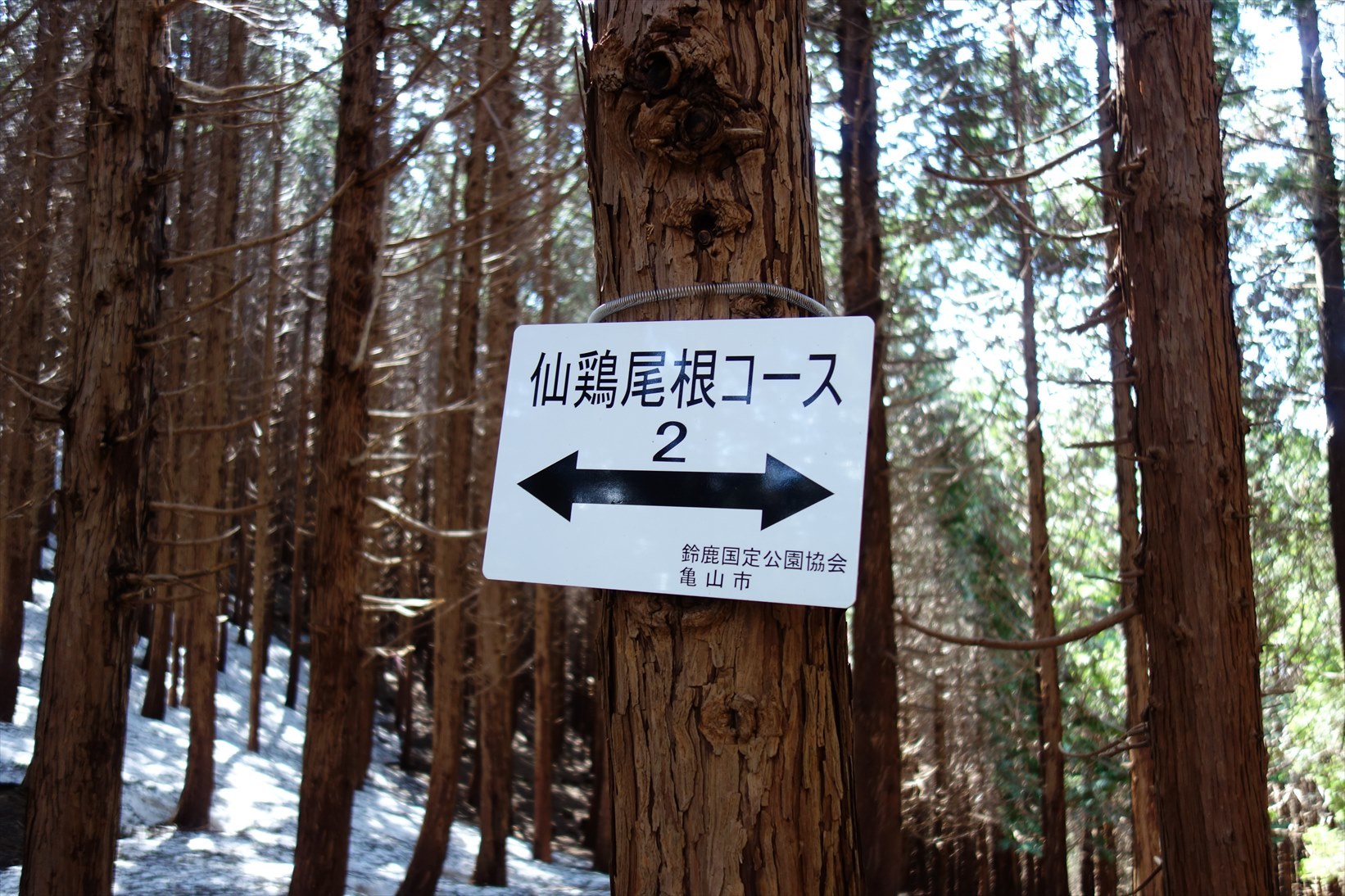 f0348933_21492554.jpg