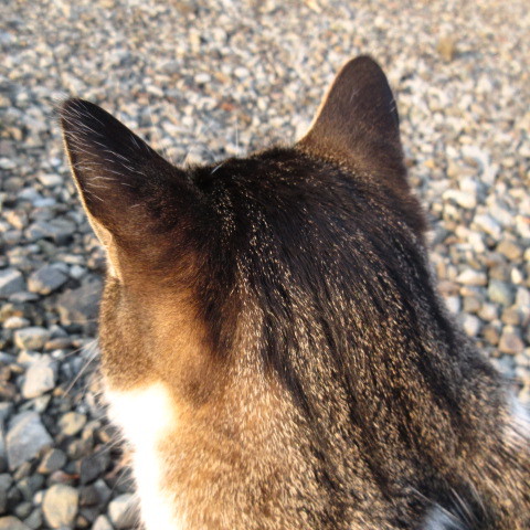a0329935_18580766.jpeg