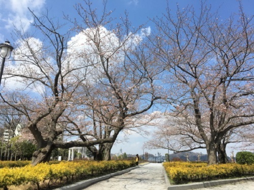 c0097838_19420803.jpg