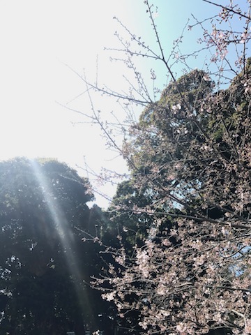 早く春よ来い!!_d0158149_1325449.jpg