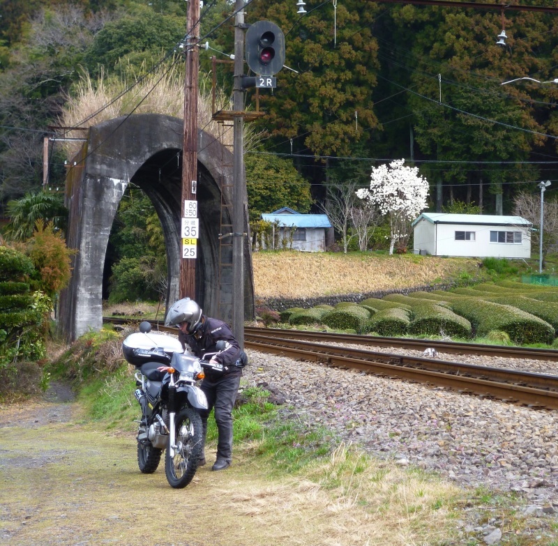 大井川　探訪（日本一短いトンネル）_c0294553_05255748.jpg