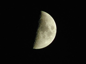 a0248459_18494289.jpeg