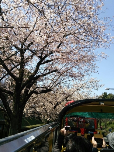 b0059860_18593854.jpg