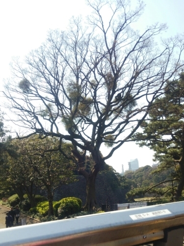 b0059860_18594163.jpg