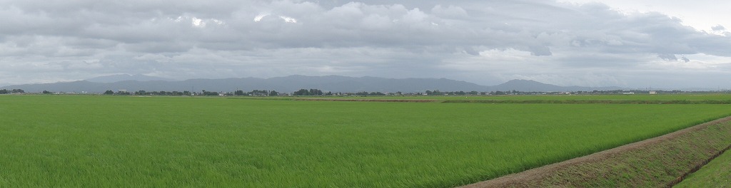 c0119160_61549.jpg