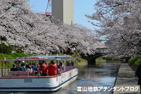 桜まだかな?_a0243562_13412081.jpg