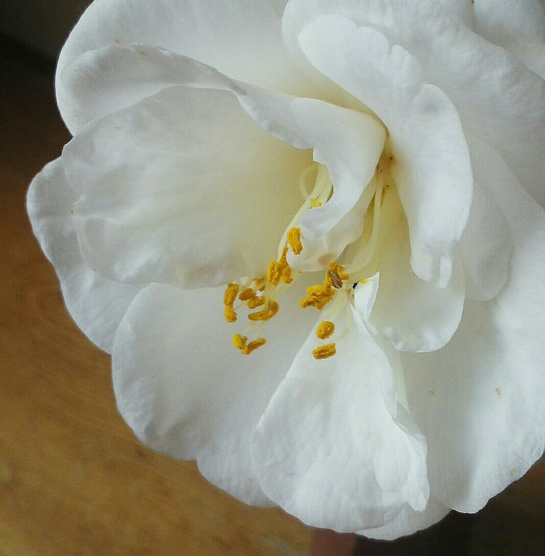 b0368362_05290829.jpg