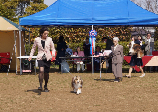 JKC部会展 ターニャ ニーナ_f0126965_17370770.jpg