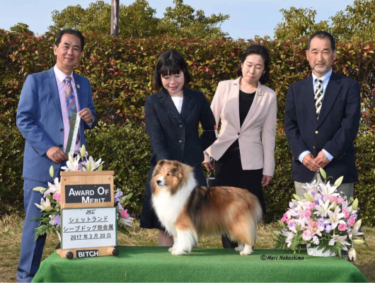 JKC部会展 ミシェルちゃん_f0126965_17524985.jpg
