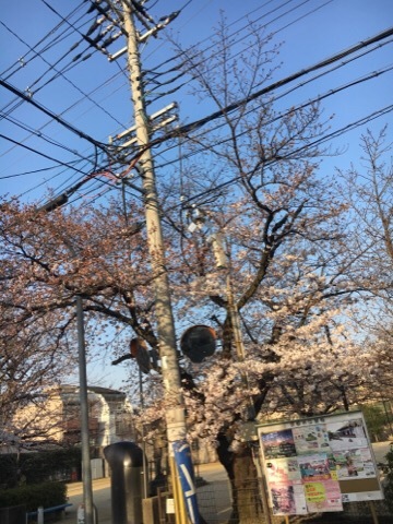 暖かい一日_f0363168_19421027.jpg