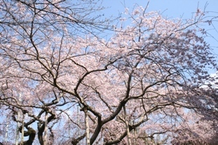 a0048471_18432659.jpg