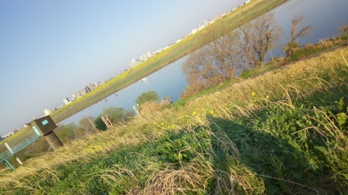 c0338271_08542495.jpg