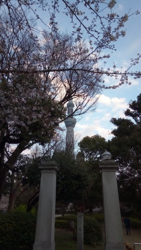 c0338271_08562512.jpg