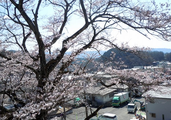 60歳過ぎたら聴きたい歌 96 君住む街角で On The Streets Where You Live 大屋地爵士のjazzyな生活