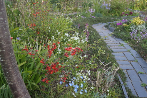 e0181373_21495761.jpg