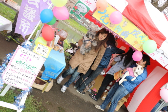まあしゃが大人気で200人くらいの方に写真を撮っていただいた件。_c0245679_21354597.jpg