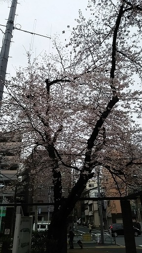 e0020682_11104145.jpg