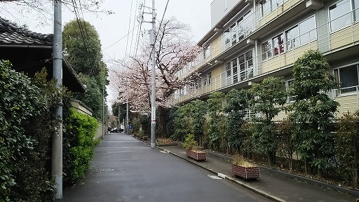 e0020682_11114850.jpg