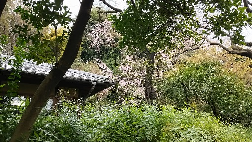 e0020682_11125562.jpg