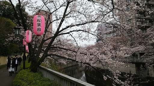 e0020682_11131377.jpg