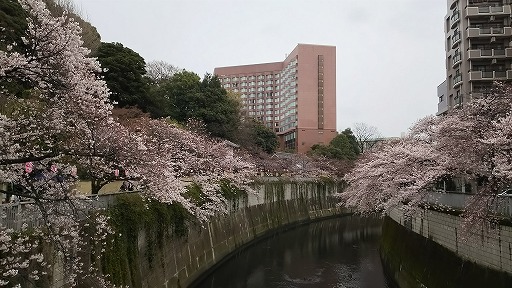 e0020682_11133276.jpg