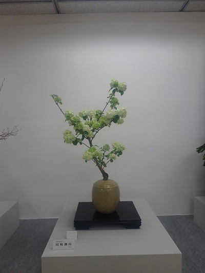 西日本華道連盟いけばな展 大作_d0195183_0263075.jpg