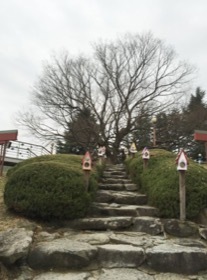 d0115985_09133740.jpeg