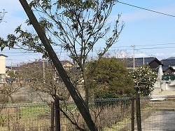 f0370494_23351479.jpg
