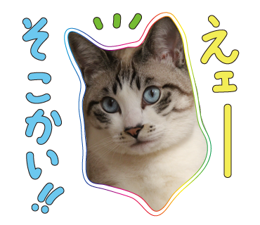 a0333195_21320929.png