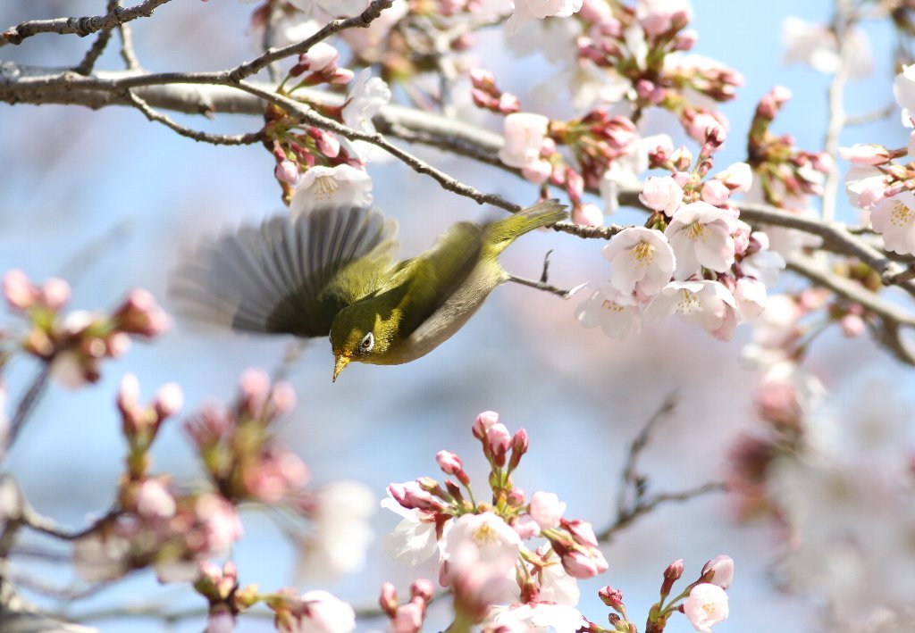 川縁は長閑に_b0223198_20194033.jpg