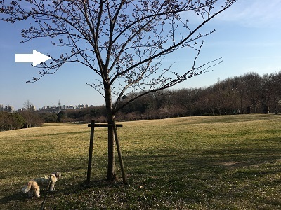 f0372998_19552704.jpg