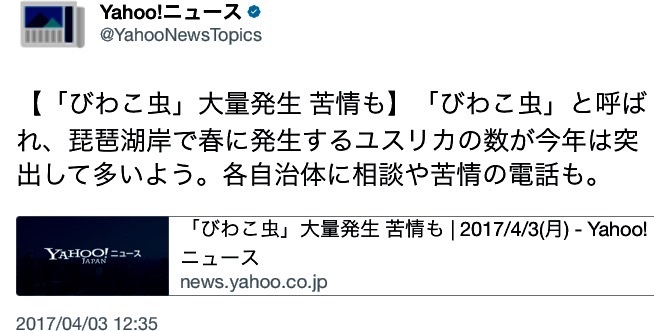 《トラちゃん占いは毎月1日》地震体感と検証。_b0301400_15422640.jpg