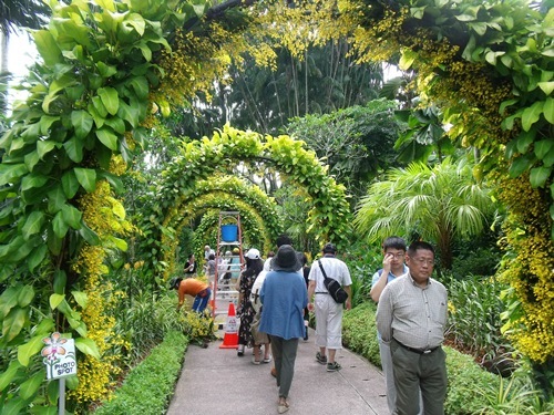 世界遺産シンガポール植民地散策です_c0017802_19262482.jpg