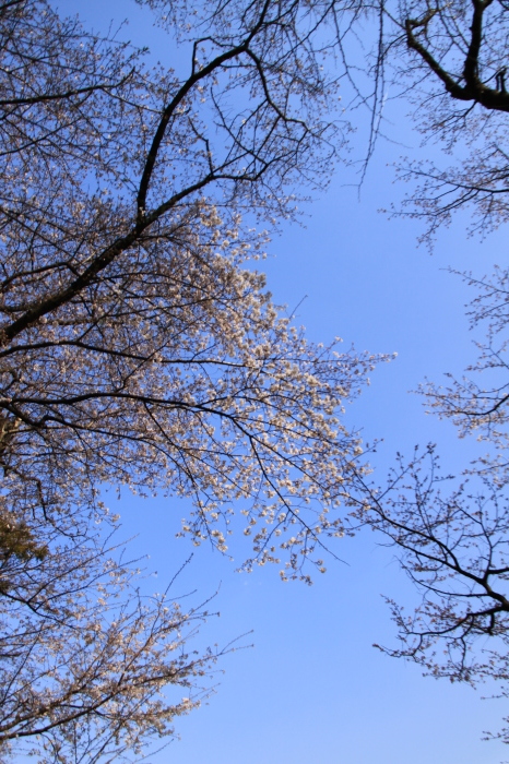 d0248502_13373058.jpg