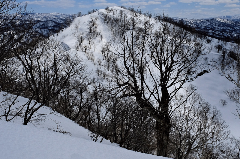 二つのピークを越えて　三ツ山（遠別町）  2017.4.1_f0200402_20551929.jpg