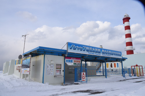 はじっこと真ん中と　北海道真冬の鉄道旅　その６　最大の危機！_a0101905_2265031.jpg