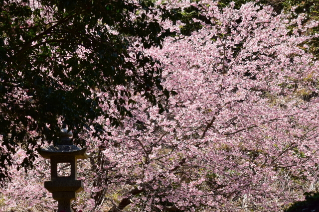 f0368610_21144794.jpg