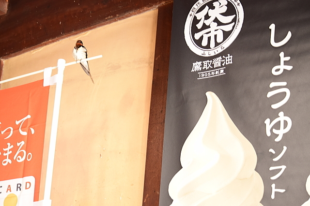 f0368610_21181067.jpg