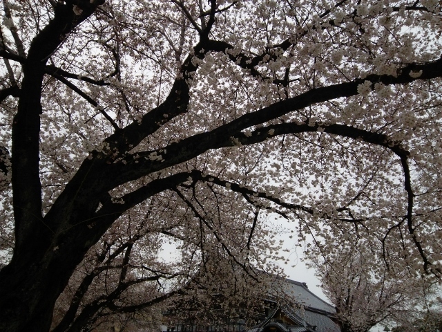 e0033713_18511340.jpg