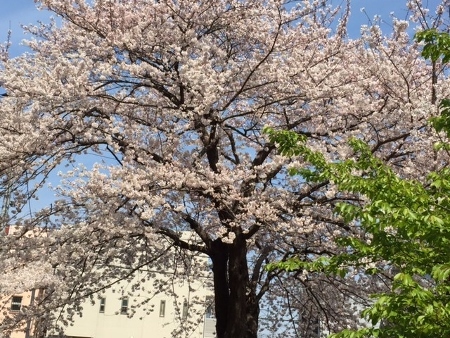 a0011716_21231023.jpg