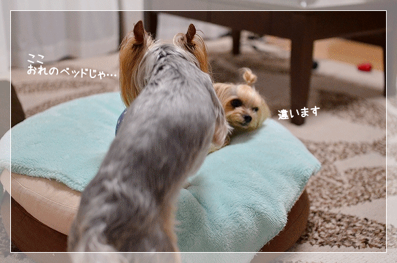 d0179828_08373272.gif