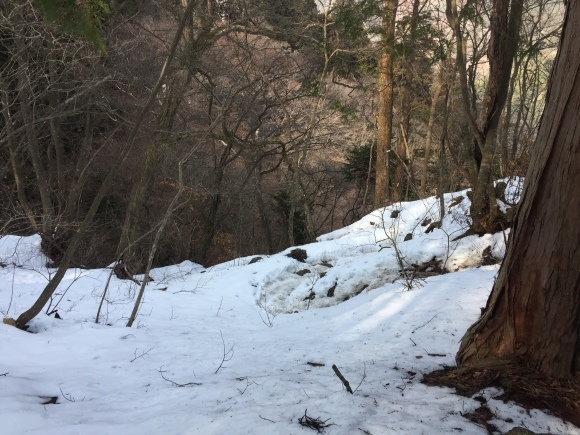 武蔵御嶽神社＊酉年12年振りの御嶽蔵王大権現ご開帳2017_b0129832_09430332.jpg