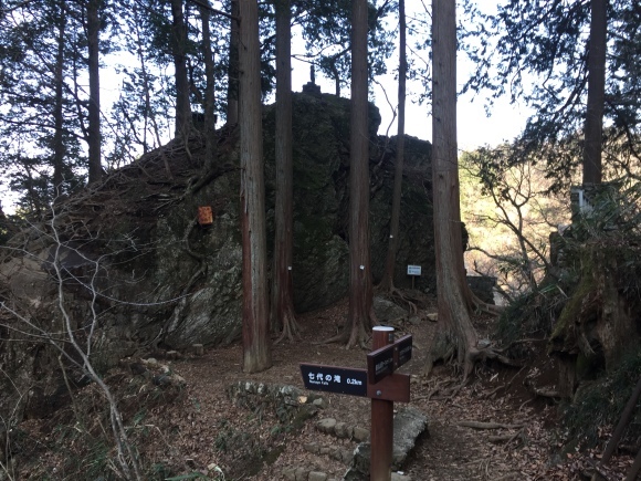 武蔵御嶽神社＊酉年12年振りの御嶽蔵王大権現ご開帳2017_b0129832_09593735.jpg